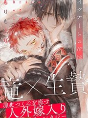 《挪威的森林》封面
